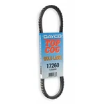 Dayco 15460 Auto V-belt, Industry Number 11A1170. Fixed Price $17.59.