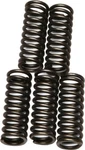 Ebc Clutch Springs #CSK146 For Suzuki LT250R Quadracer 1986. Fixed Price $16.19.
