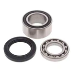 Balls 14-1011 Shaft Bearing And Seal Kit 141-9011. Fixed Price $34.51.