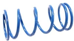 Comet 202552A, Blue Clutch Spring -. Fixed Price $21.19.