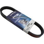 Dayco High-performance Belt HP3019. Fixed Price $89.38.