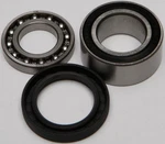 Arctic Cat Snowmobile Chain Case Bearing And Seal Kits Balls 14-1010. Fixed Price $39.20.