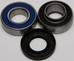Balls 14-1019 Chain Case Bearing And Seal Kits. Fixed Price $49.61.