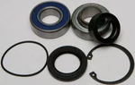 Balls Chain Fits Case Bearing & Seal Kit 14-1001. Fixed Price $46.53.