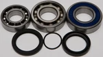Balls 14-1051 Chain Case Bearing And Seal Kits. Fixed Price $79.85.