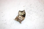 93 Arctic Cat Cougar Oem Nos Chain Roller Bracket 0602-390 SAS7. Fixed Price $34.99.
