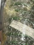 0148-127 Arctic Cat Driven Spring Green New Oem. Fixed Price $29.89.
