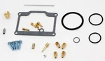 Arctic Cat Panther 440 Fan, 1992-1995, Carb/carburetor Repair Kit Deluxe. Fixed Price $51.33.