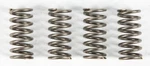 Ebc Clutch Springs #CSK140 Ktm. Fixed Price $16.19.