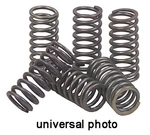 Ebc Clutch Springs CSK901. Fixed Price $55.23.
