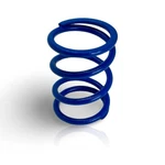 Polaris 2011-14 Rzr 900 2013 XP4 Blue Primary Clutch Spring 7043766. Fixed Price $19.95.