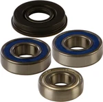 Balls Chain Case Bearing And Seal Kits 14-1018. Fixed Price $74.45.