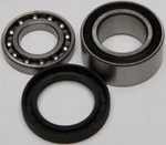 Balls 14-1010 Shaft Bearing And Seal Kit. Fixed Price $39.14.