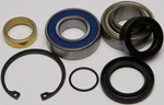 Balls 14-1039 Chain Case Bearing And Seal Kits. Fixed Price $51.09.