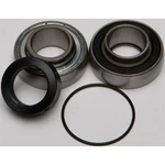 Balls Chain Case Bearing & Seal Kit 14-1046. Fixed Price $47.90.
