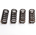 Ebc Clutch Spring Set (4 Pcs) Honda Trx 420 Fm 4WD Fourtrax 2007 - 2011. Fixed Price $24.92.