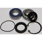 Balls Chain Case Bearing & Seal Kit 14-1001. Fixed Price $44.20.