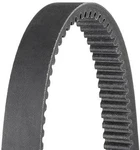 Dayco HP3025 High-performance Belt. Fixed Price $82.32.