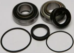 Balls Chain Fits Case Bearing & Seal Kit 14-1009. Fixed Price $56.20.