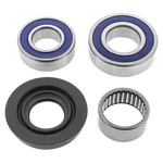 1994-1995 Ski-doo Formula Mach Z 779 Lower Shaft Drive Bearing & Seal Kit. Fixed Price $53.12.