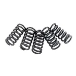 Ebc Brakes Clutch Spring Set - CSK191. Fixed Price $16.72.