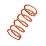 Epi Performance Clutch Spring Orange YDR16. Fixed Price $32.99.