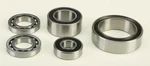 Bdx 241-30150 Diamond Drive Gear Case Bearing Rebuild Kit. Fixed Price $94.95.