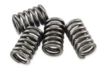 Ebc Clutch Spring Kit - CSK138. Fixed Price $16.68.