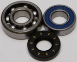 Balls Chain Case Bearing And Seal Kits 14-1028. Fixed Price $43.87.