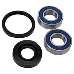 1998 Ski-doo Formula Mx Z/gt Le 440 Lower Shaft Drive Bearing & Seal Kit. Fixed Price $31.23.