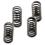 Ebc Clutch Spring Kit - CSK233. Fixed Price $32.59.