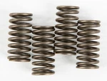 Ebc Clutch Spring Kit CSK150. Fixed Price $12.98.