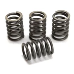 Ebc Clutch Springs (CSK207) CB1000 1983. Fixed Price $36.06.