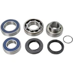 Balls Chain Case Bearing And Seal Kit 14-1059. Fixed Price $117.53.