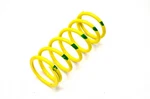 Team 930111 Yellow/green Primary Snow Spring Nos. Fixed Price $29.99.