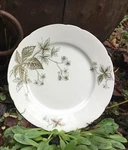 Antique Victorian Era Porcelain De John Edwards England Virginia Dinner Plate. Fixed Price $75.00.