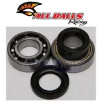 Balls 14-1031 Shaft And Kit For Drive Bearings & Seals Ii. Fixed Price $47.22.
