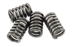 Clutch Spring Kit 164408 EBCCSK257. Fixed Price $29.63.