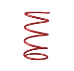Team Secondary Clutch Spring TSS-98 TSS-04 Tied Driven Polaris Venom Products. Fixed Price $24.95.