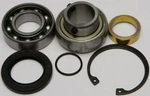 Balls Chain Fits Case Bearing & Seal Kit 14-1002. Fixed Price $54.28.
