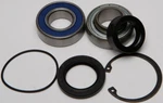 Balls Chain Case Bearing And Seal Kits 14-1001. Fixed Price $44.20.