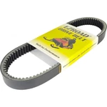 Drive Belt 0227-103 Fit Arctic 1992 Ext Mountain Cat, 1993 Cheetah 550. Fixed Price $62.99.