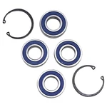 Balls Shaft Bearing And Seal Kit 14-1076. Fixed Price $52.06.