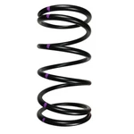 Speedwerx Driven Clutch Spring CCH5-L-160-250 Black/silver. Fixed Price $60.90.