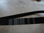 Salsbury Belt 704152. Comet 300678. Fixed Price $65.00.