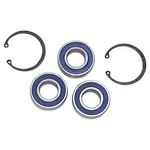 Balls Shaft Bearing And Seal Kit 14-1080. Fixed Price $44.60.