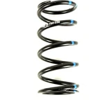 Speedwerx Blue/green Alloy Primary Clutch Spring CCH5-B-190-330. Fixed Price $54.95.