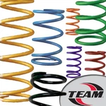 Team 210135-002 Polaris Primary Clutch Spring Black. Fixed Price $43.18.