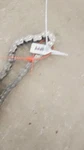 2010 Polaris Rmk 800 Iq Drive Chain #1144. Fixed Price $45.99.