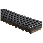 Gates 42C4455 G-force C12 Continuously Variable Transmission (cvt) Belt. Fixed Price $170.10.